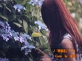 紫陽花【アリス】／　ギター弾き語り by 流奈☆